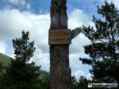 Garganta del Arroyo de Minguete - Puerto de Fuenfría;las mejores rutas de senderismo en madrid ruta